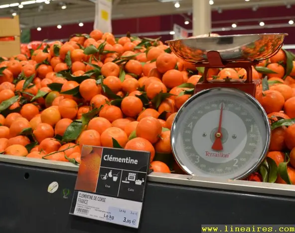 Clémentine balance 2015 AB (2)