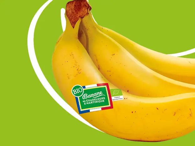 Banane bio française