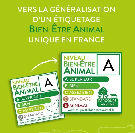 BEA Carrefour U Casino