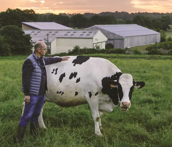 covid-19 eleveur laitier