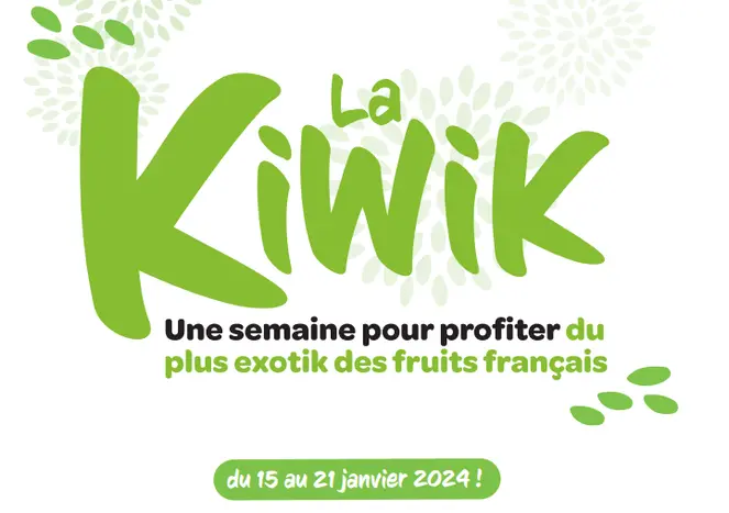 Sans-titre.png