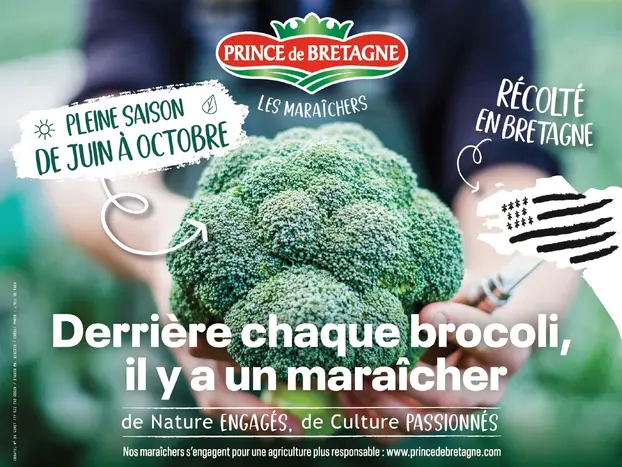 Le brocolis c'est maintenant