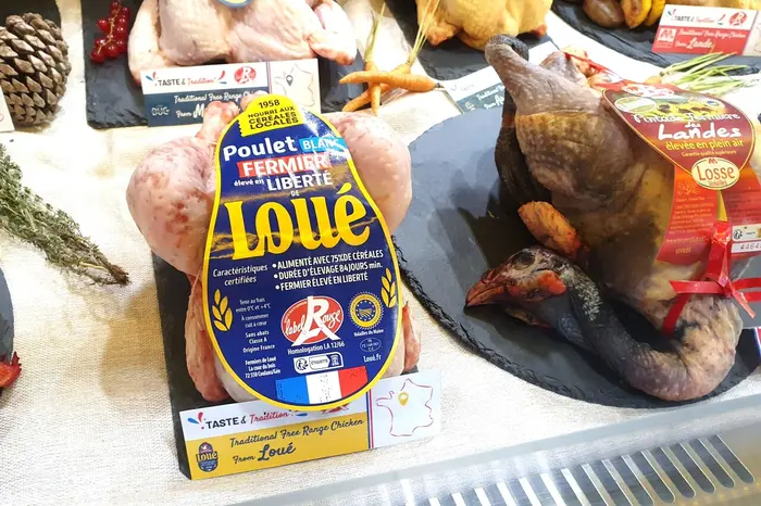 Photo : Linéaires - Enjoy Prod.