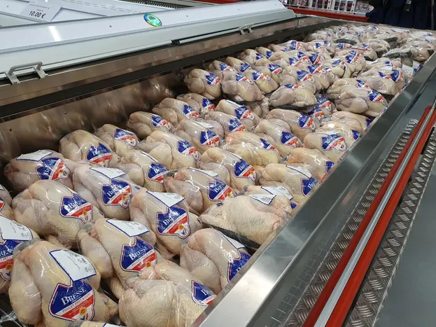 Un autre exemple marquant des viandes de qualité origine France vendues par Costco : ce bac rempli de poulets de Bresse AOP (18,99€/kg). Le nec plu