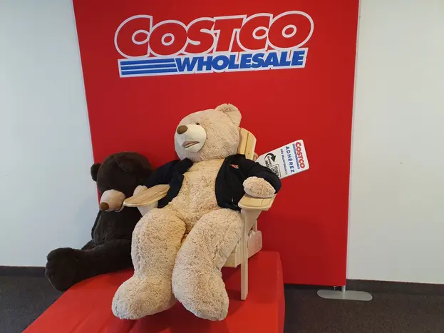 L'ours géant vendu chez Costco est vite devenu l'ambassadeur de l'enseigne en France. Il trône littéralement dans le bureau des adhésions (36€/a