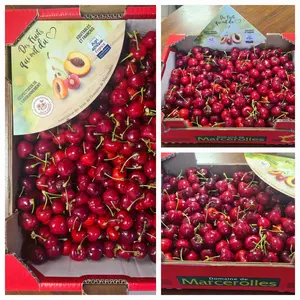 Domaine de Marcerolles