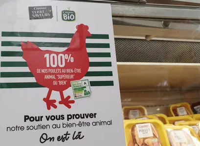 Bien-être animal Casino 30 05 22