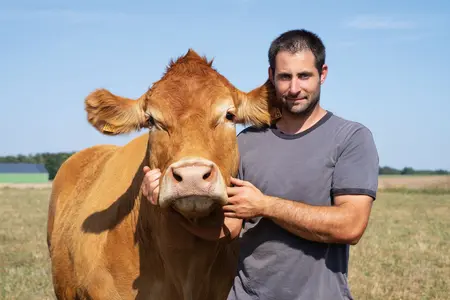 Oupette limousine éleveur