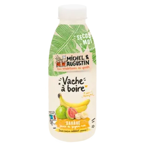 Michel et Augustin YAB banane goyave