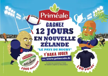 import_image_Primeale-mise-sur-la-Coupe-du-monde-de-rugby.jpg