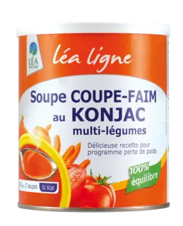 import_image_Une-soupe-au-konjac-signee-Lea-Ligne.png