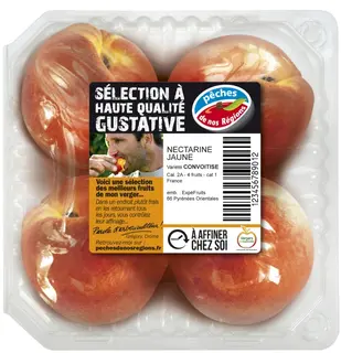 import_image_Nouvelle-segmentation-pour-les-peches-et-nectarines-francaises.jpg