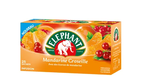 import_image_Elephant-infuse-la-groseille-et-la-mandarine.jpg