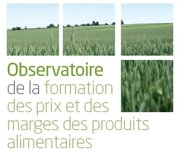 import_image_Les-enseignes-ont-refait-leurs-marges-sur-le-frais.jpg