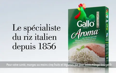 import_image_Riso-Gallo-de-retour-en-TV.jpg