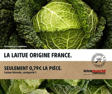 import_image_Le-dernier-buzz-en-ville-d-Intermarche.jpg