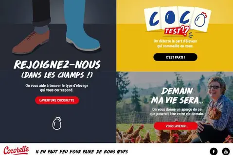 import_image_Cocorette-recrute-des-eleveurs-via-poule-emploi.com.jpg