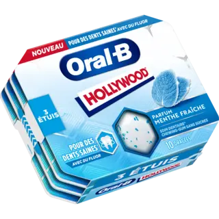5938487_HOLLYWOOD_Oral_B_Menthe_Fraiche_Blister_Pack_3d_3X17g_Carton_Lef....png
