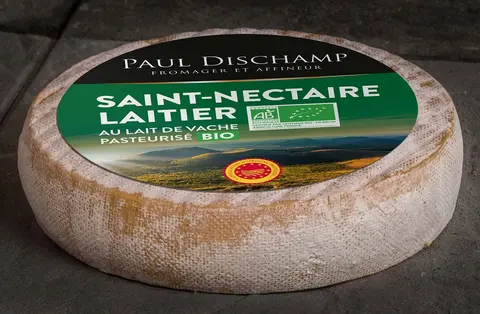 dischamps-bio-web.jpg