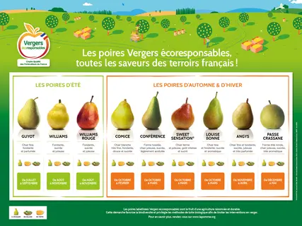 3684_TABLOVAR_POIRES_400x300_exe2.jpg