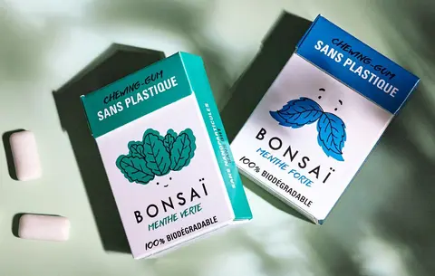 1bonsai.jpg
