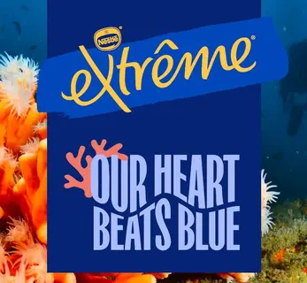 extreme-collab-coral.JPG