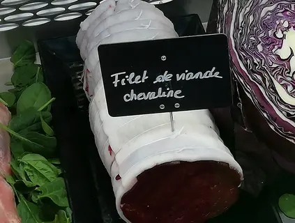 BVCheval2.jpg