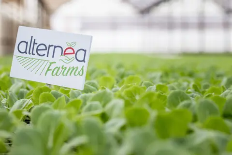Alternea-Farms.jpg