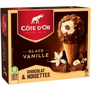 Sur-CO-Cone.png