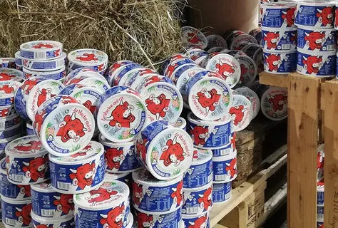 vache-qui-rit-ope.jpg