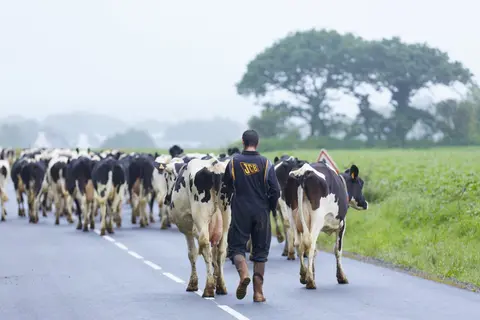 U compte aujourd'hui 123 contrats tripartites sur 35 matières premières agricoles françaises différentes.