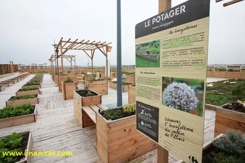 import_image_Carrefour-s-essaie-a-l-agriculture-urbaine.jpg