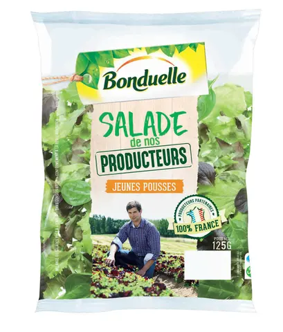 import_image_Bonduelle-propose-une-salade-francaise-toute-l-annee.jpg