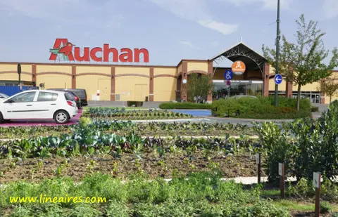 import_image_La-premiere-ferme-Auchan.jpg