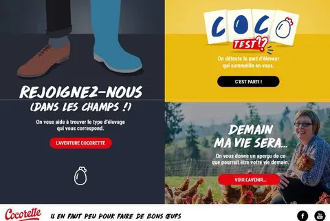 import_image_Cocorette-recrute-des-eleveurs-via-poule-emploi.com.jpg