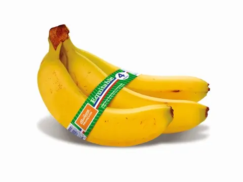 import_image_Une-banane-equitable-origine-France.jpg