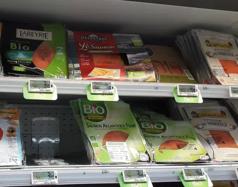 Saumon-bio-2.jpg