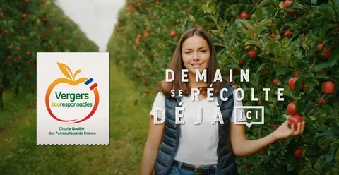 Vergers-ecoresponsables.jpg
