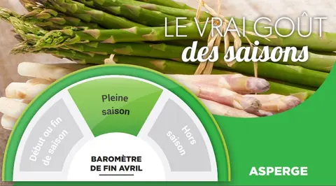casino-asperges-avril.jpg