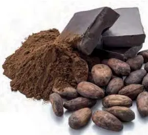 Cacao.jpg