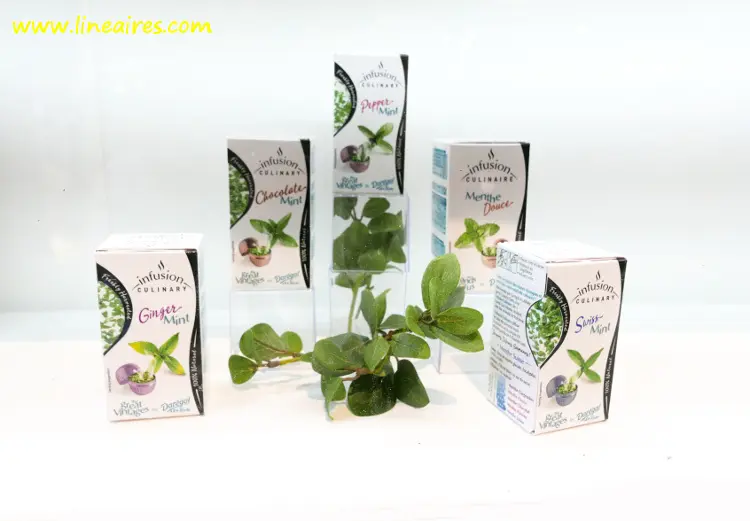 Les infusions surgelées