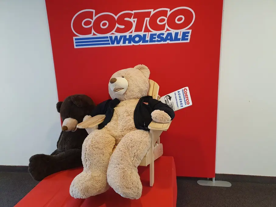 L'ours géant vendu chez Costco est vite devenu l'ambassadeur de l'enseigne en France. Il trône littéralement dans le bureau des adhésions (36€/a